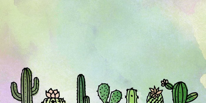 2560x1600 Cactus Wallpaper PC - KoLPaPer - Awesome Free HD Wallpapers