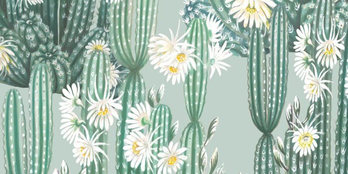 1100x1320 San Pedro Wallpaper • Cactus Wallpaper • Milton & King USA