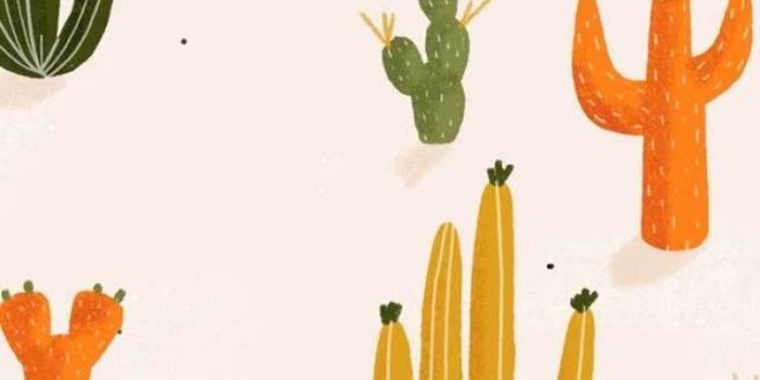 757x1458 colorful cactus #wallpaper | Iphone background wallpaper, Cute wallpaper  backgrounds, Cute patterns wallpaper