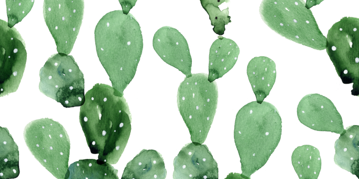 1432x1430 Cactus Wallpaper (Peel & Stick) – Rocky Mountain Decals