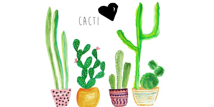 3300x2550 Cute Cactus Wallpapers Computer Free Download - PixelsTalk.Net