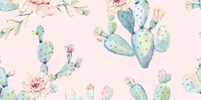3000x3000 Blush Pink Cactus Wallpaper Eco Friendly Removable | Etsy