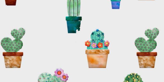 757x1277 Cactus Background Wallpaper - EnJpg