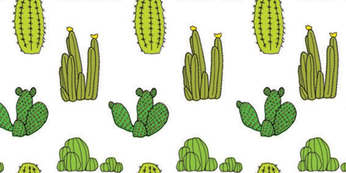 1200x1800 50+] Cactus Wallpaper Tumblr on WallpaperSafari
