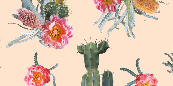 960x1962 Tropic Cacti Removable Traditional Prepasted Wallpaper — SAMANTHA SANTANA