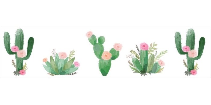 902x902 Sweet Jojo Designs Pink and Green Boho Watercolor Cactus Floral Collection  Wallpaper Wall Border - Overstock - 20551638