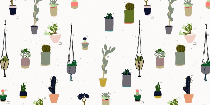 5120x2880 Cactus Wallpapers And Background Images - Girls Short Pant For Home -  5120x2880 Wallpaper - teahub.io