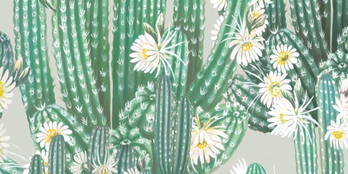 1100x1320 San Pedro Wallpaper • Cactus Wallpaper • Milton & King Europe