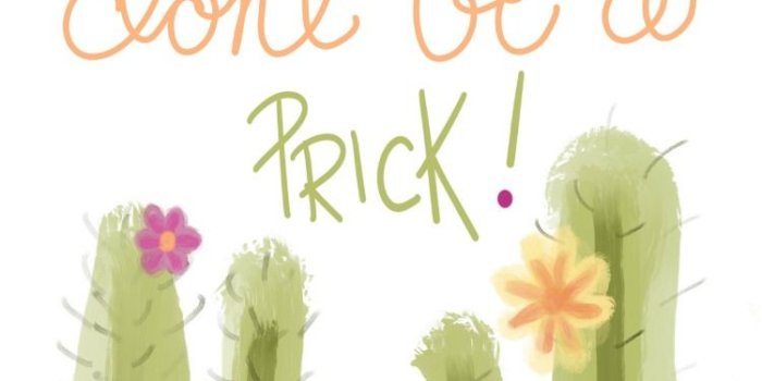 750x1334 Cactus Wallpaper Desktop