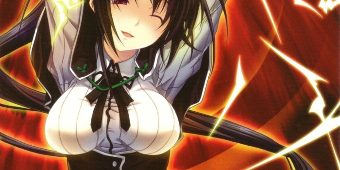1276x1800 573983 highschool dxd anime himejima akeno wallpaper - Mocah HD Wallpapers