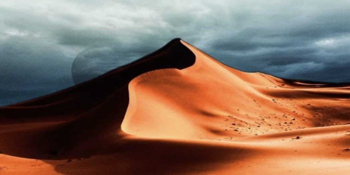 1125x2001 Dune Wallpaper - iXpap