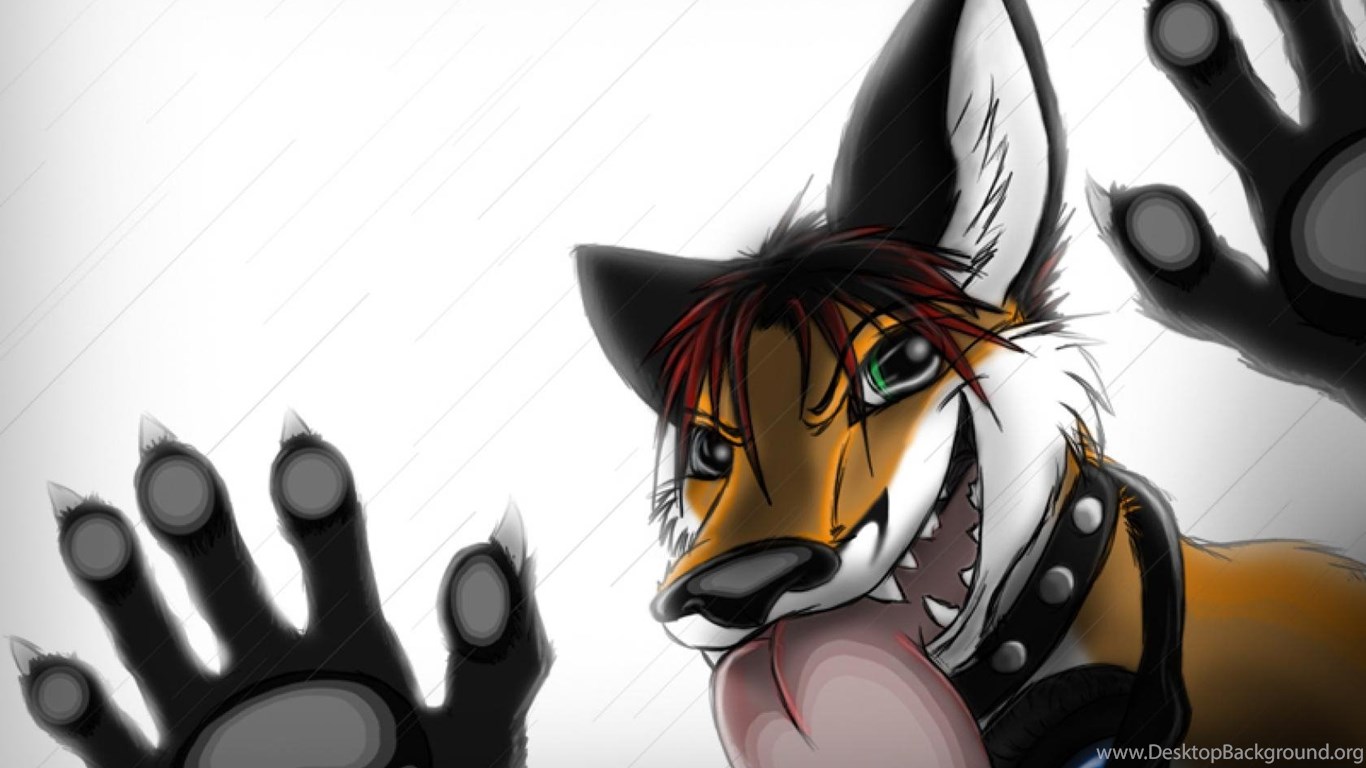 1366x768 Furry Wallpapers ( Desktop Background