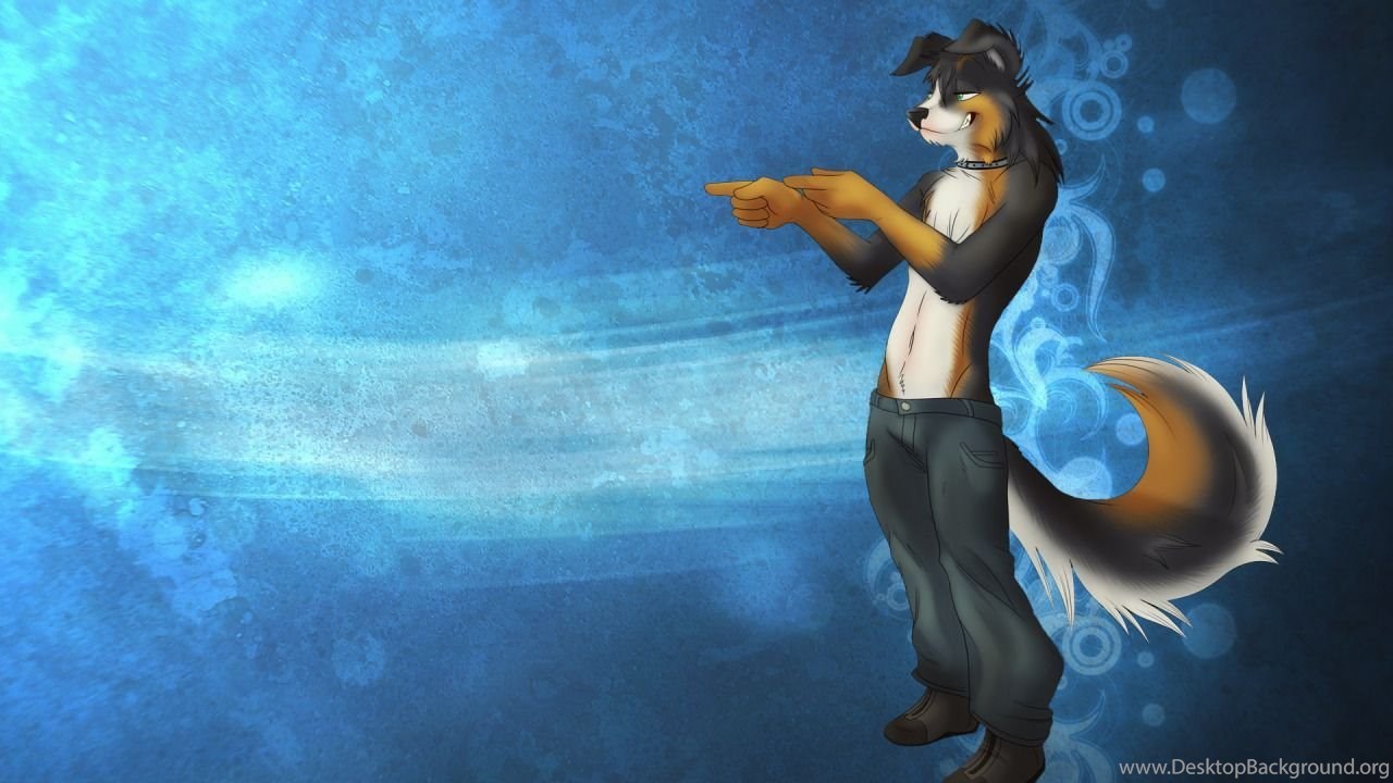 1280x720 Clean Furry Wallpapers — And Here's The Wallpapers That I Used As A...  Desktop Background
