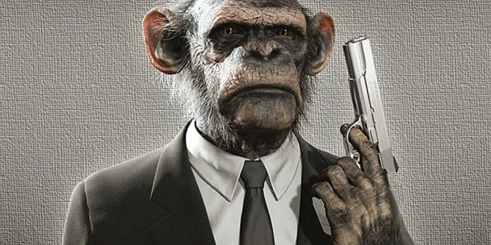 1024x768 Cute Monkey Wallpapers Wallpaper - Monkey High Resolution - 1024x768  Wallpaper - teahub.io