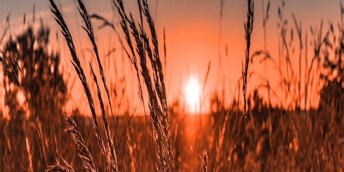 1000x1500 28+] Country Backgrounds on WallpaperSafari