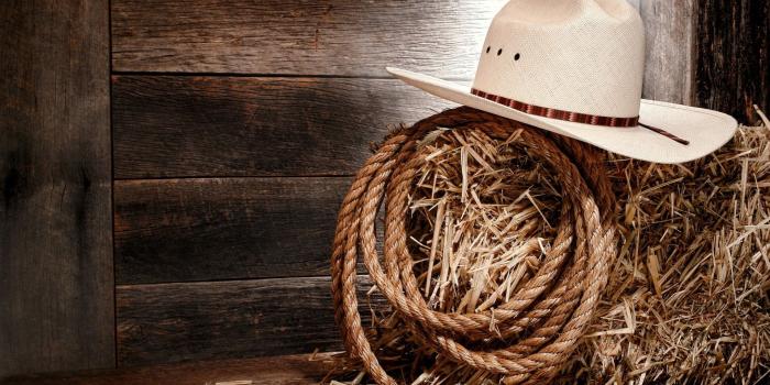 1920x1080 Country Western Wallpapers - Top Free Country Western Backgrounds -  WallpaperAccess