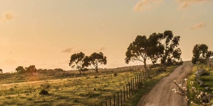 1080x1920 Country iPhone Wallpapers - Top Free Country iPhone Backgrounds -  WallpaperAccess