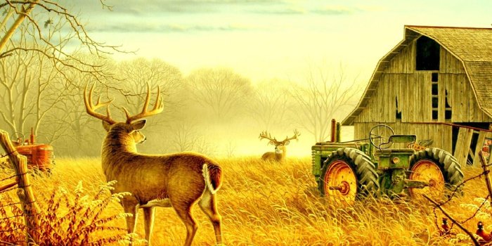 1280x900 Country Wallpapers 3 Best Wallpapers Collection Desktop Background