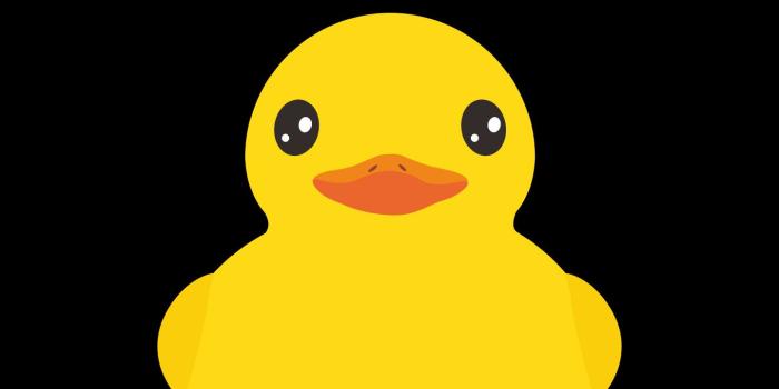 1440x2560 Cool Duck Wallpapers - Top Free Cool Duck Backgrounds - WallpaperAccess