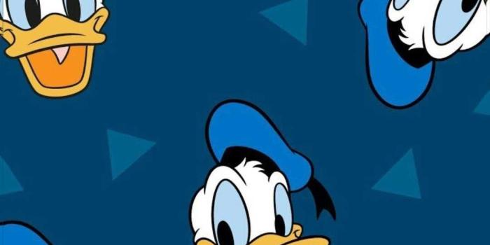 1080x1920 Donald Duck Wallpaper - iXpap