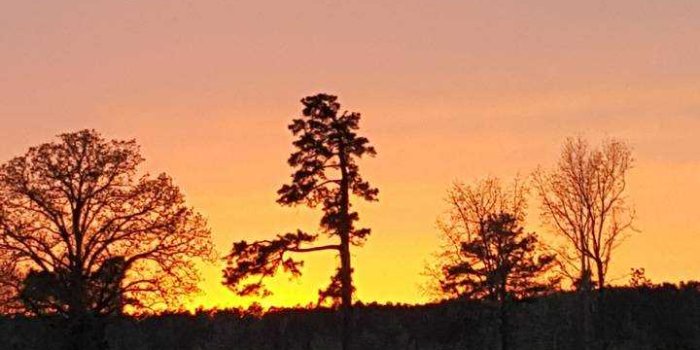 720x1280 Country Wallpaper - iXpap