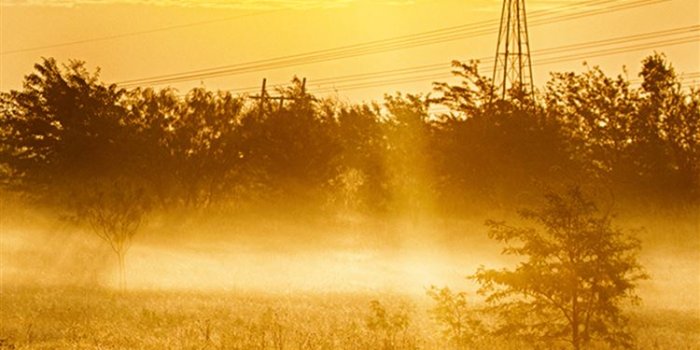 750x1334 Nature Country Sunrise Landscape iPhone 8 Wallpapers Free Download