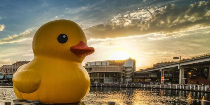 1920x1200 Rubber Ducks, Landscape, Cityscape, Water Wallpapers - Rubber Duck Wallpaper  Hd - 1920x1200 Wallpaper - teahub.io