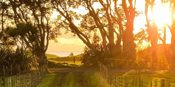 1230x2656 Country Wallpaper - KoLPaPer - Awesome Free HD Wallpapers