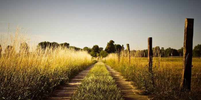 1920x1200 Country Iphone Wallpapers By Abby Mclean - Summer Country - 1920x1200  Wallpaper - teahub.io