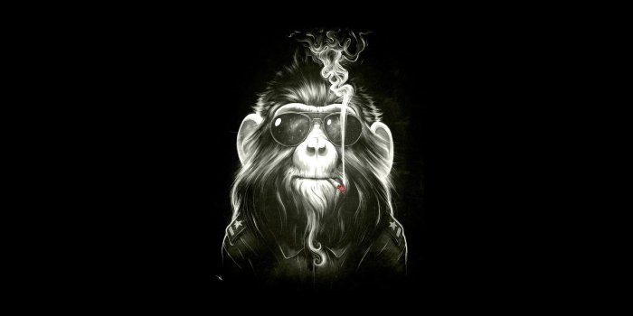 1920x1200 Skoking monkey wallpaper - Artistic