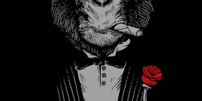 720x1280 Scare Monkey | Monkey wallpaper, Monkey art, Swag wallpaper