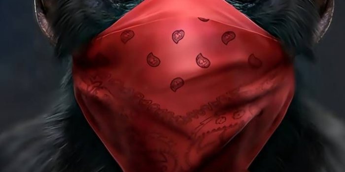 720x1280 Cool Monkey Wallpapers - Top Free Cool Monkey Backgrounds - WallpaperAccess