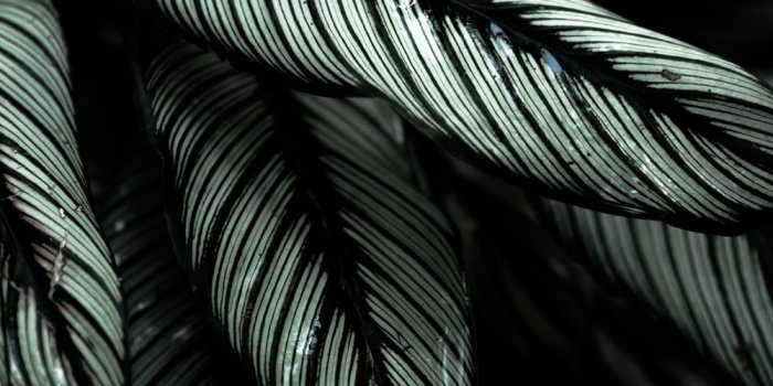 1000x1500 iPhone XS Max Wallpapers: Free HD Download [500+ HQ] | Unsplash