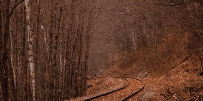 1242x2688 Wallpaper Weekends: Autumn iPhone XS Max Wallpapers