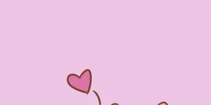 721x1280 Download Cute Animal Pig HD Wallpaper and Backgrounds