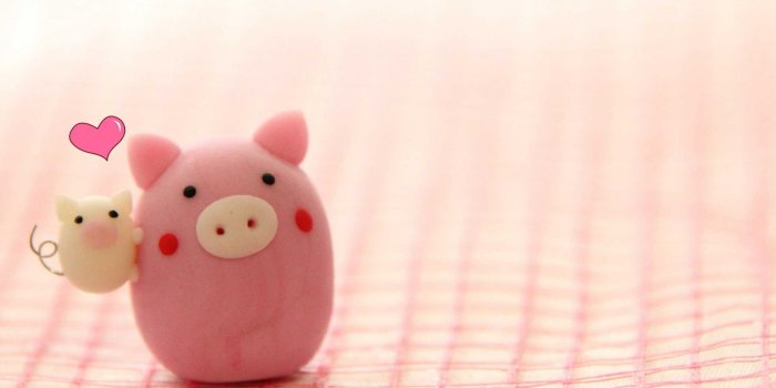 1920x1200 Pig Wallpaper 2562x1442 64091 - Baltana