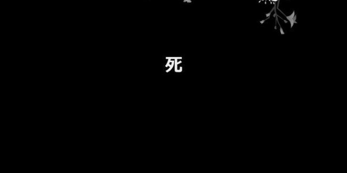 736x1308 Black Anime Wallpaper Phone - 736x1308 Wallpaper - teahub.io