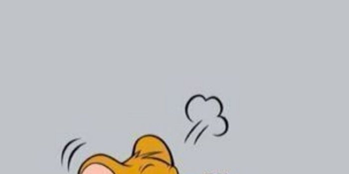 1027x2160 Free download Helena Soares on Best friend wallpaper Friends  wallpaper [1027x2160] for your Desktop, Mobile & Tablet | Explore 19+  Matching Wallpaper | Wallpaper Matching Service, Matching Wallpaper  Patterns, Matching