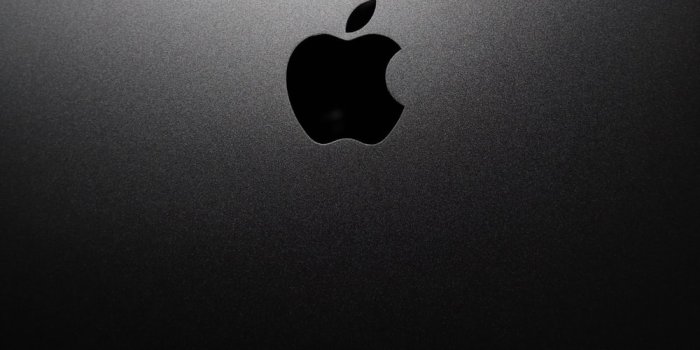 1000x1308 Logo Apple Pictures | Download Free Images on Unsplash