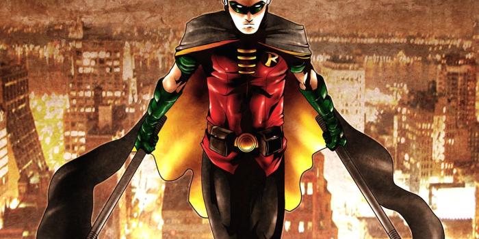 1700x2200 Robin Wallpapers - Top Free Robin Backgrounds - WallpaperAccess