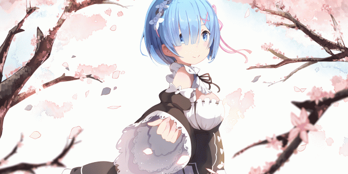 1920x1190 Rem Re:Zero Wallpapers