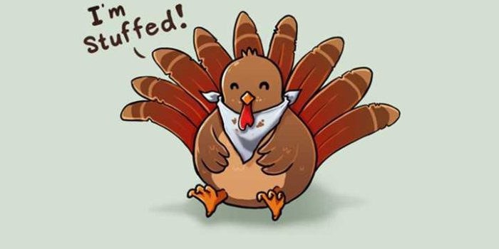 720x1280 Cute Turkey Wallpapers - iXpap