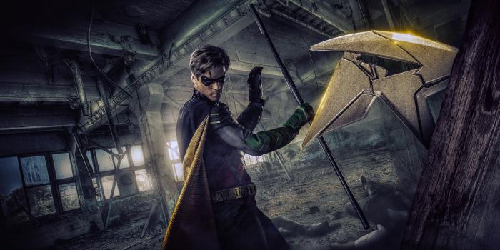 3840x2160 Robin 4K 8K HD DC Wallpaper