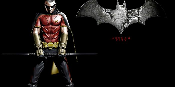 1920x1200 Robin Wallpapers - Top Free Robin Backgrounds - WallpaperAccess