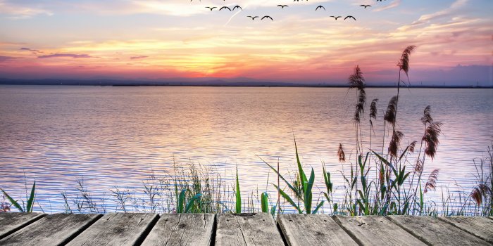 2560x1600 Lake View From Wooden Bridge wallpapers | Lake View From Wooden Bridge  stock photos