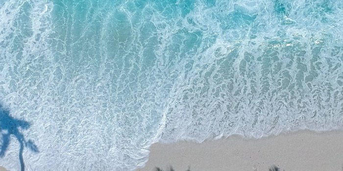 1125x2436 Download 1125x2436 wallpaper beautiful beach, aerial view, palm trees, sea,  iphone x 1125x2436 hd image, background, 17336