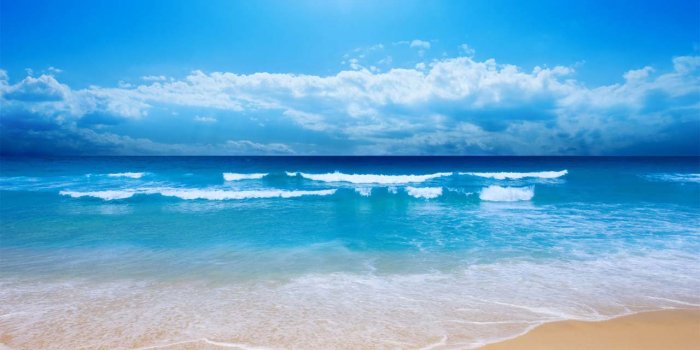 1280x800 Free Wallpaper][Sea Live], Worth Watching Wallpapers of Sea View. you will  enjoy it. | NextPit Forum