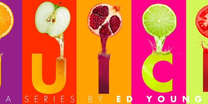 2880x1100 Most viewed Juice wallpapers | 4K Wallpapers