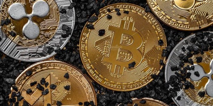 736x1104 Set of cryptocurrencies | Money wallpaper iphone, Bitcoin logo, Crypto  currencies