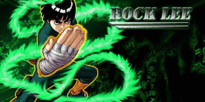 1024x768 Rock Lee Wallpapers - Top Free Rock Lee Backgrounds - WallpaperAccess
